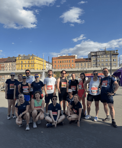 Phasellus platea fames vel porttitor