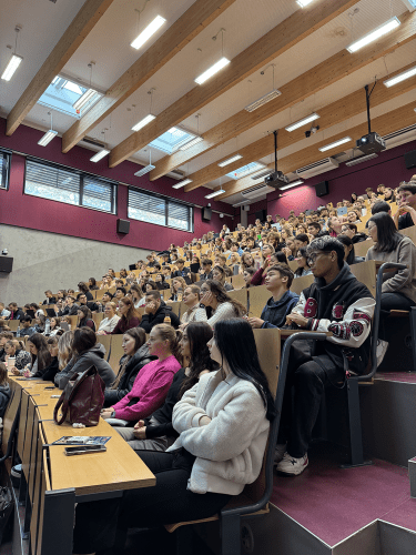 Phasellus platea fames vel porttitor