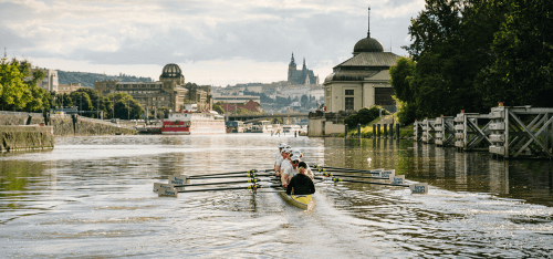 Phasellus platea fames vel porttitor